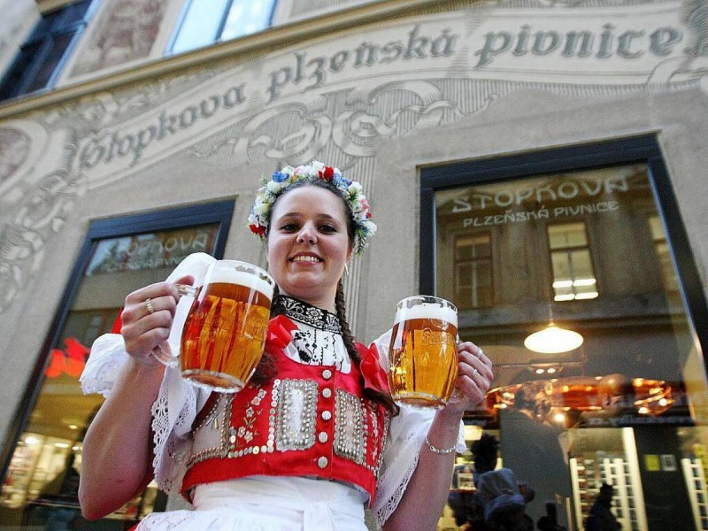 В Чехии несметное количество сортов этого божественного напитка, ведь в каждом городке его варят по-своему. Пиво отличается по плотности – зимой хорошо идет с 12-14% плотностью, а летом более легкое – с 8-10%.